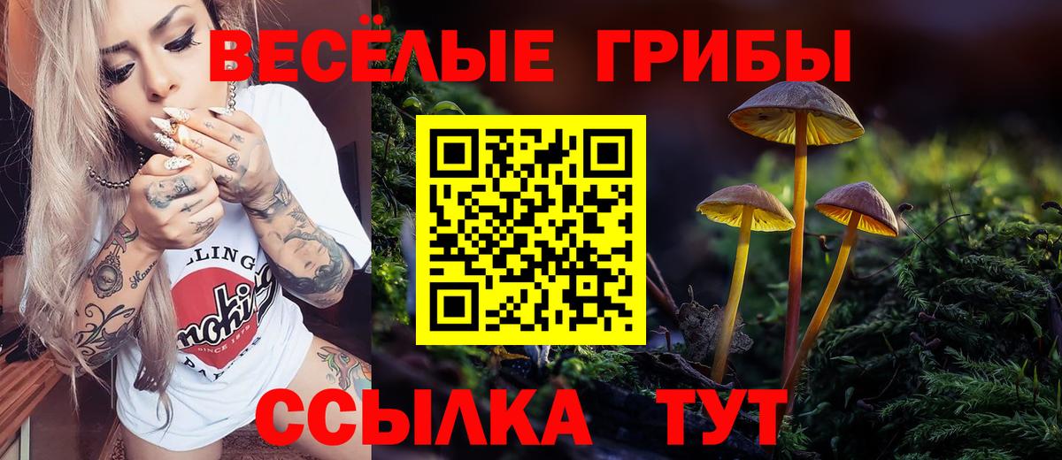 Тайшет  купить наркоту  Вход с VPN  Галлюциногенные грибы Magic Shrooms 